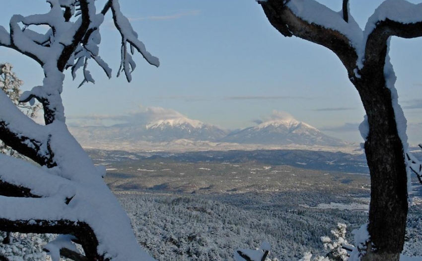 A winter view of the Spanish Peaks through snowy branches