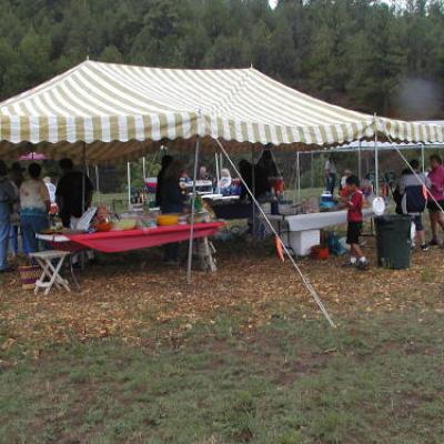 Picnic2002notesp04