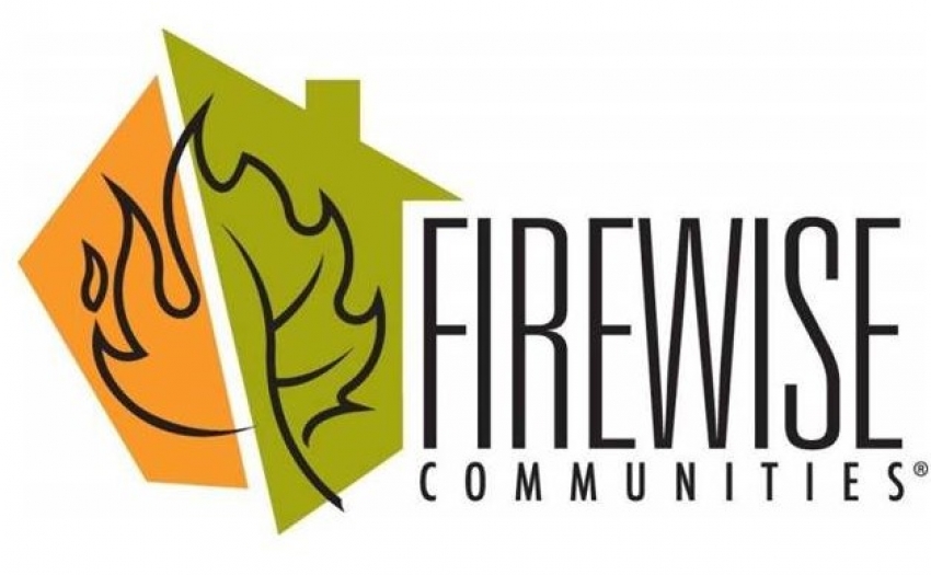 FireWise logo