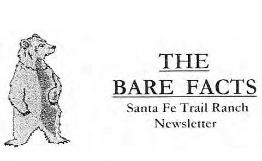 Bare Facts logo
