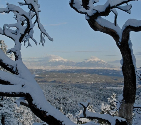 A winter view of the Spanish Peaks through snowy branches